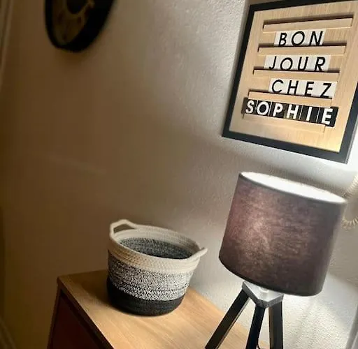 Daire - Centre Historique - Avec Vue Aurillac